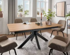 Auszugstisch TI-0595