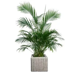 Übertopf rechteckig Umero Cubi