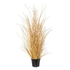 Carex mit Gras im Topf