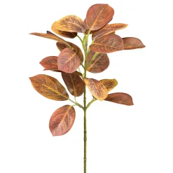 Cotinuszweig 3023870-67