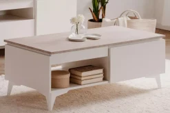 Couchtisch Bertrix 55C