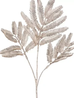 Delonixzweig 1024522-41