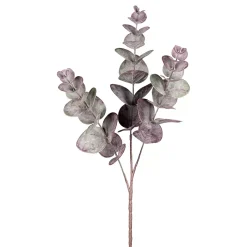 Eucalyptuszweig 1023030-88