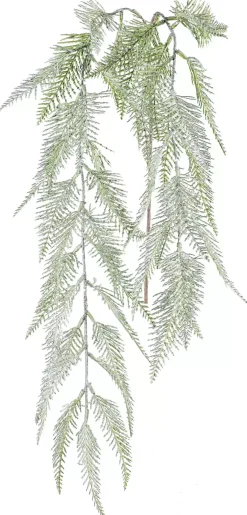 Farnzweig 1024528-50