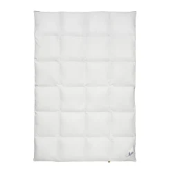 Kassettendecke 125 Jahre