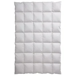 Kassettendecke Golf von Alaska