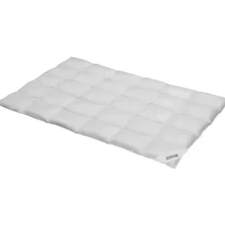 Kassettendecke Normal Basic