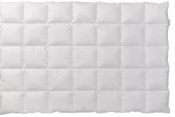 Kassettendecke Warm Golden Line