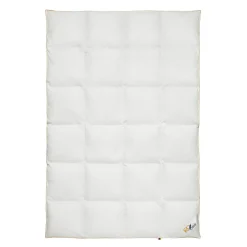 Kassettendecke warm OBB