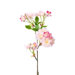 Kirschblütenzweig Kirschblütenzweig