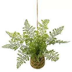 Königsfarn im Hängeballen