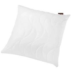 Kopfkissen Regeneration