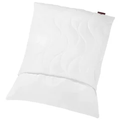 Kopfkissen Regeneration