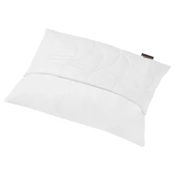 Kopfkissen Regeneration