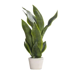 Kunstpflanze im Topf -