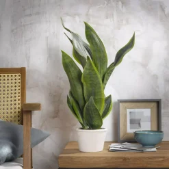 Kunstpflanze im Topf -