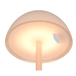 LED Tischleuchte Ricardo