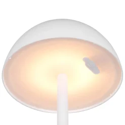 LED Tischleuchte Ricardo