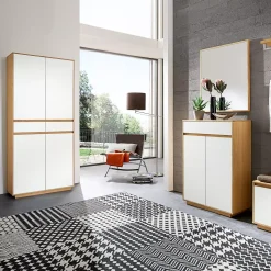 Mehrzweckschrank V100