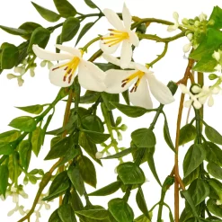 Miniblatthängezweig