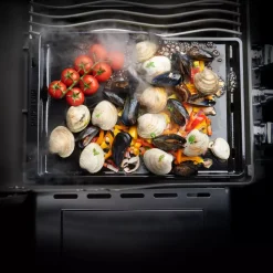 Napoleon Gusseisen Plancha