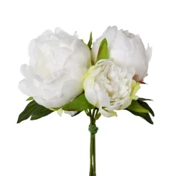 Peonienbund Peonienbund