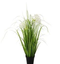 Pusteblumengrasbuch im Topf