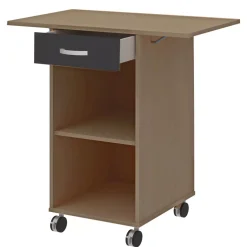 Stehpult mit Rollen Techno 19