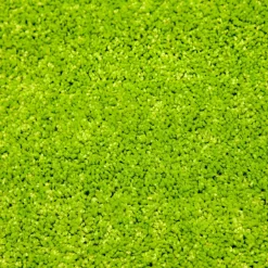 Universalteppich Hamilton