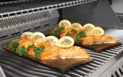 Zedernholz Räucherplanke